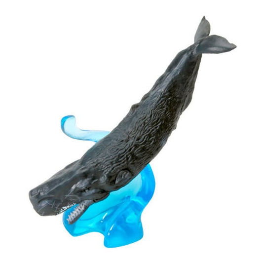 Japan Sperm Whale PVC mini capsule figure model figurine with stand