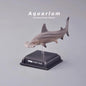 Japan Aquarium exclusive hammerhead Shark PVC mini capsule figure model figurine