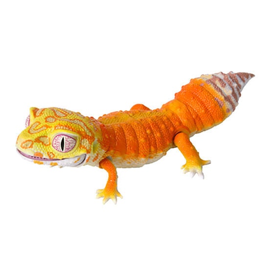 Japan Q Leopard gecko lizard PVC Action Figure model with joints (10cm) A1