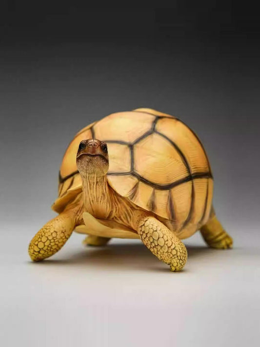 Adult Angonoka Tortoise Resin Replica Model Figurine 20cm (2023)