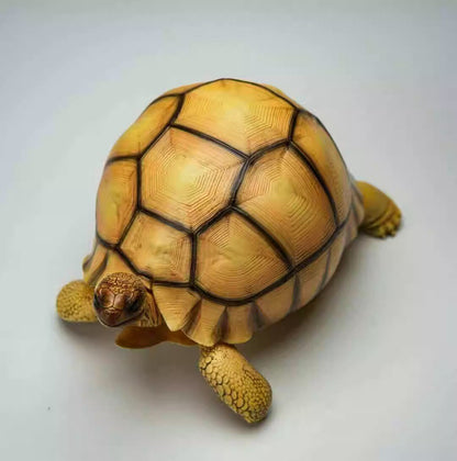 Adult Angonoka Tortoise Resin Replica Model Figurine 20cm (2023)