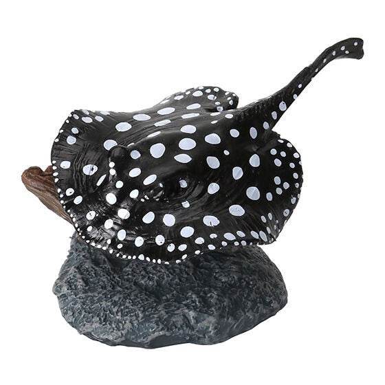 Japan Xingu river ray polka dot freshwater stingray fish animal PVC Figure Model Figurine