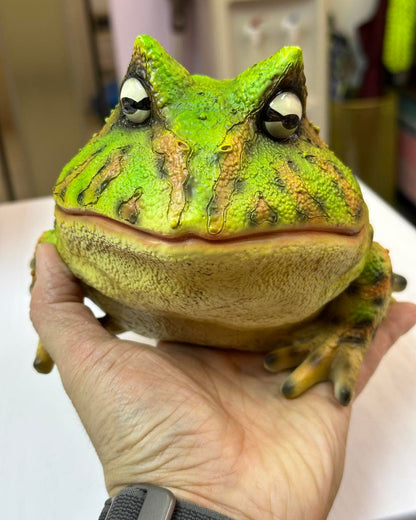 Argentine horned frog Ressin Model Figure Figurine