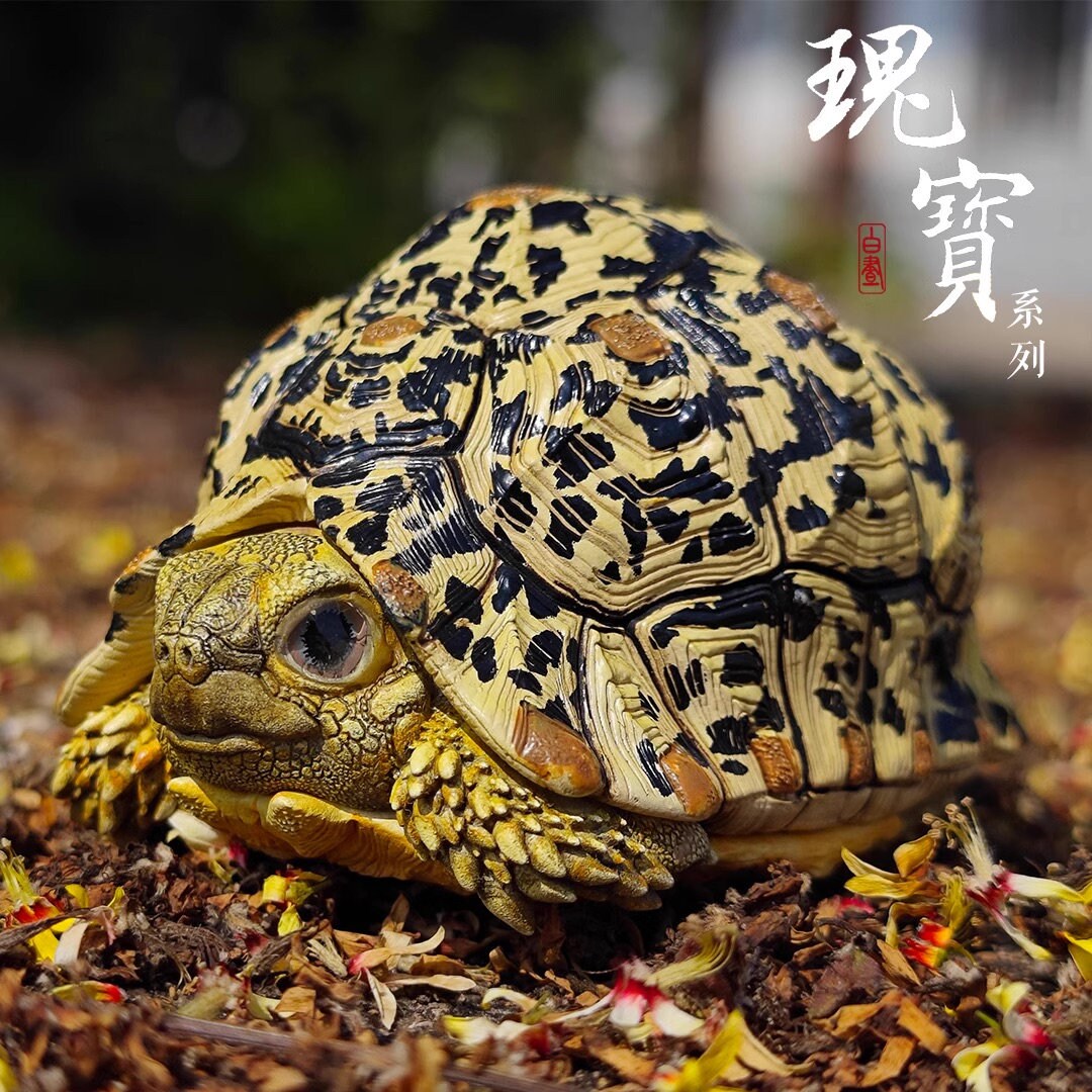 Super Q Leopard Tortoise Turtle Resin Replica Model Figurine Figure