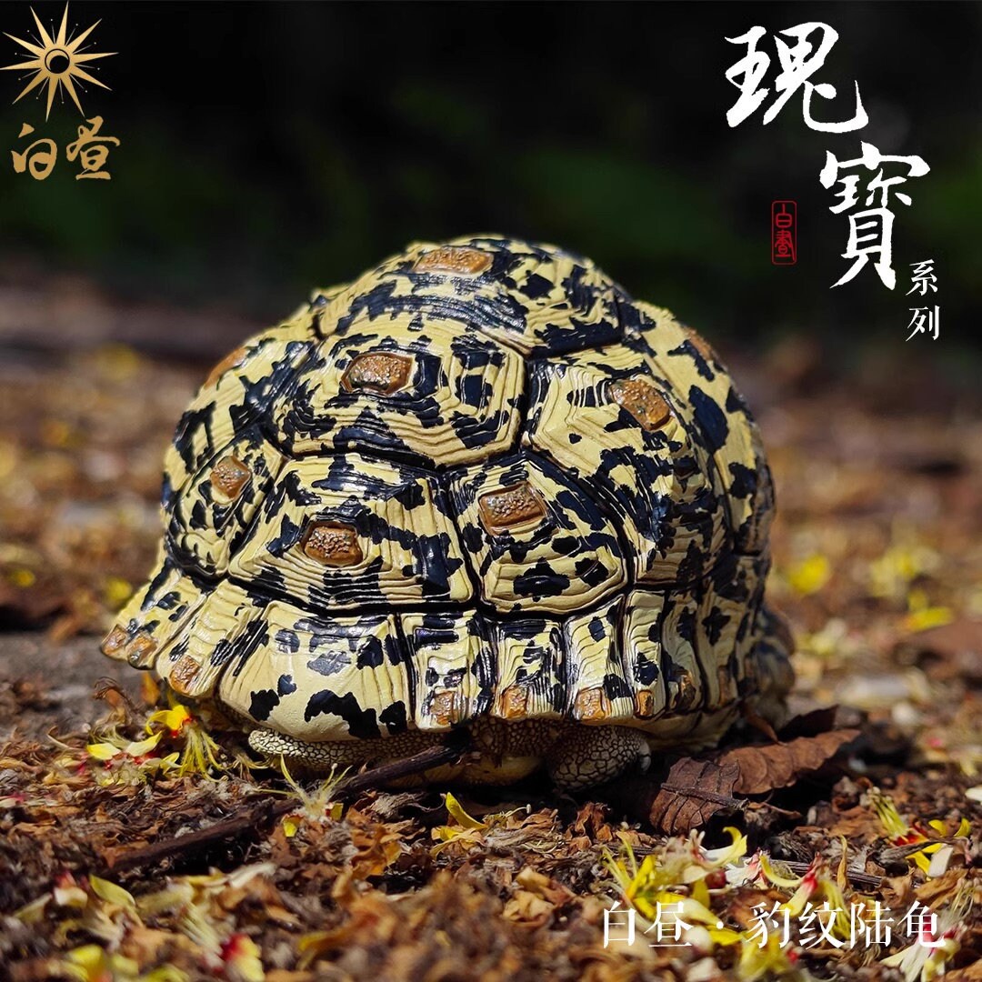 Super Q Leopard Tortoise Turtle Resin Replica Model Figurine Figure