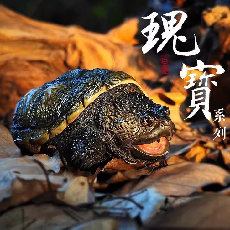 Super Q Common Snapping turtle Resin Replica Model Figurine Figure