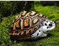 Super Q Diamondback terrapin turtle Resin Replica Model Figurine Figure