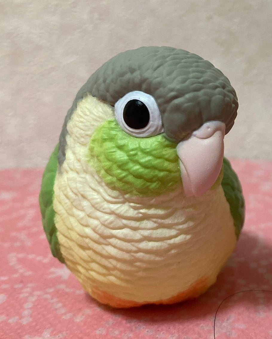 Japan Green-cheeked parakeet Bird PVC hollowed figure model toy B