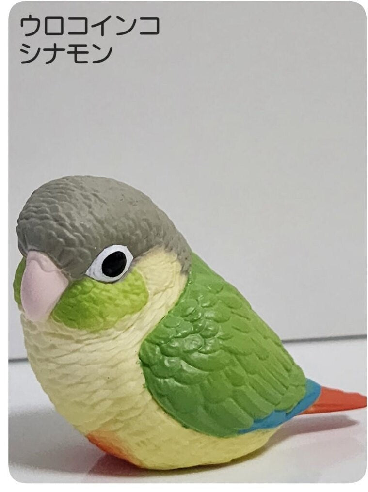 Japan Green-cheeked parakeet Bird PVC hollowed figure model toy B