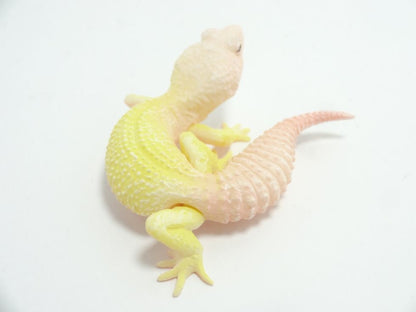 Japan Albino Leopard gecko lizard PVC mini Figure model figurine