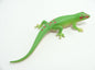 Japan Madagascar day gecko lizard PVC mini Figure model figurine