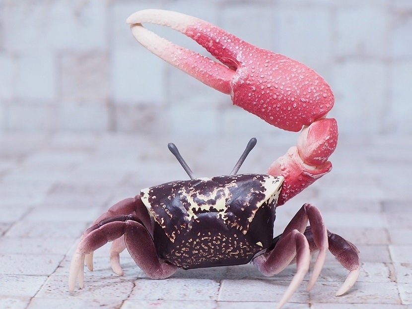 Japan Fiddler Crab animal PVC Action Figure Model with Joints