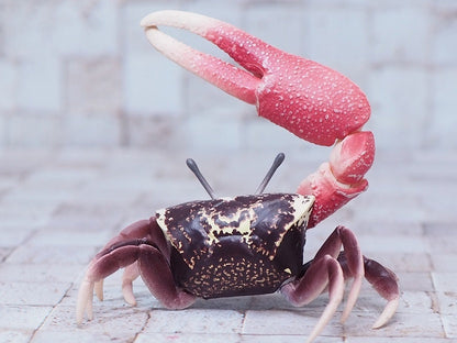 Japan Fiddler Crab animal PVC Action Figure Model with Joints