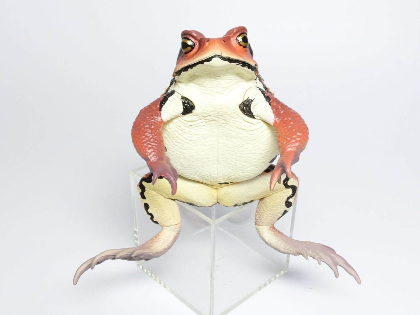 Japan Japanese common toad Frog Toad PVC Figure Model Figurine 12cm (RED）