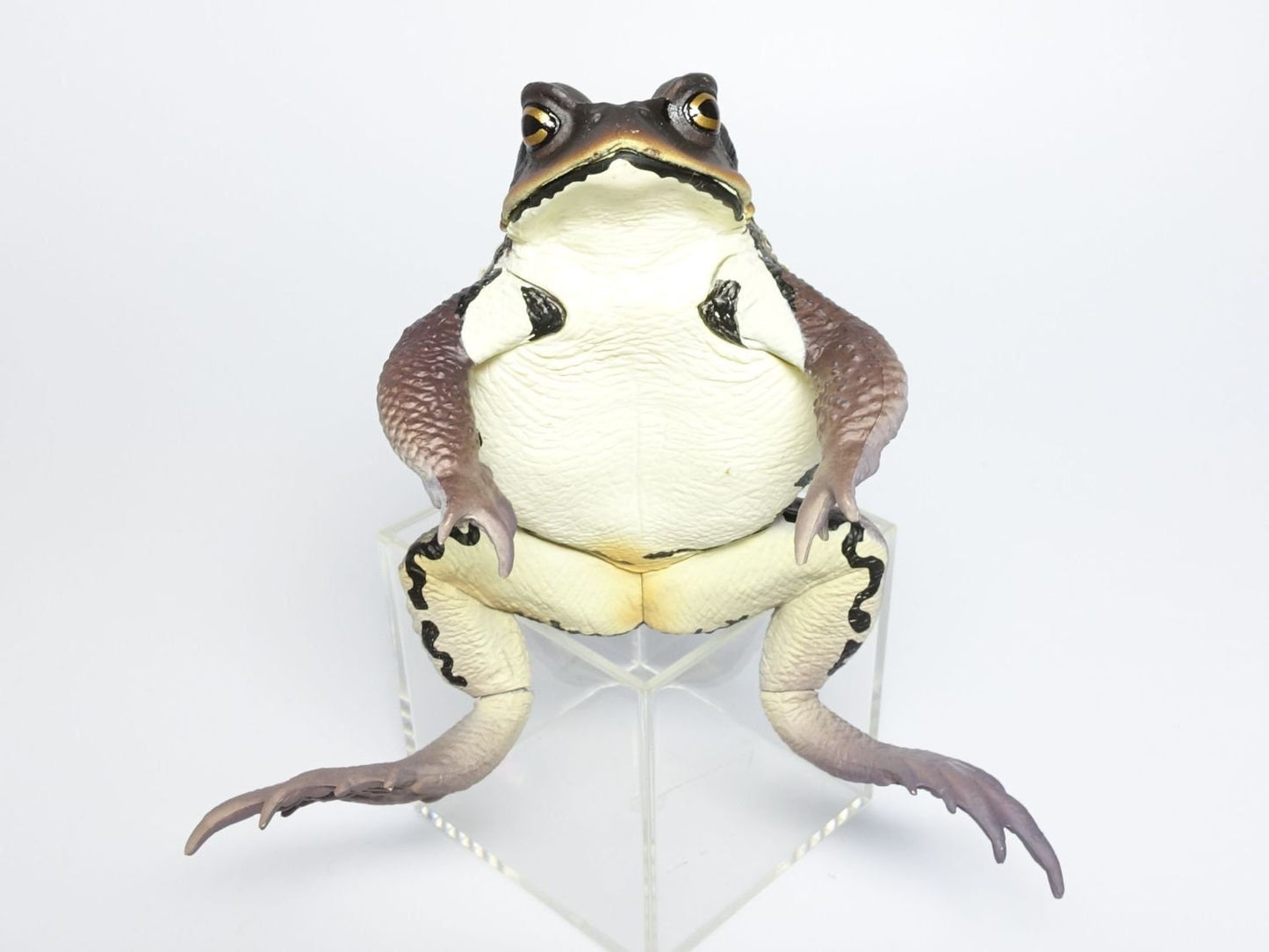 Japan Japanese common toad Frog Toad PVC Figure Model Figurine 12cm (DARK）