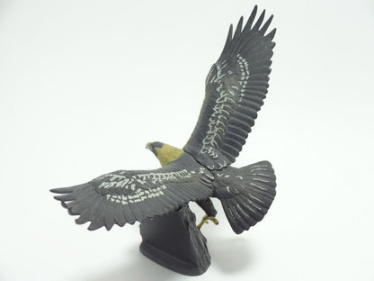 Japan Natural monument Golden Eagle Bird PVC mini figure model figurine (retired model)