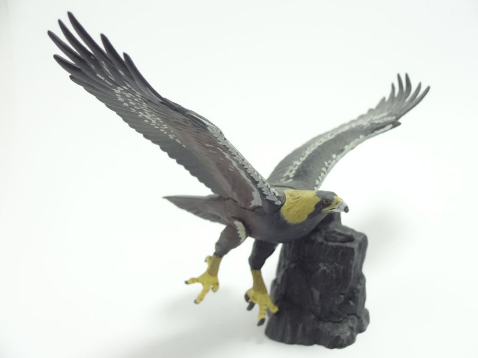 Japan Natural monument Golden Eagle Bird PVC mini figure model figurine (retired model)