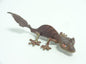 Japan satanic leaf-tailed gecko lizard PVC mini Figure model figurine