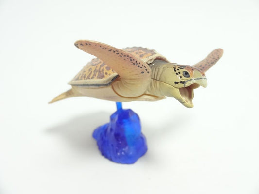 Japan Archelon prehistoric Sea Turtle PVC mini figurine figure model