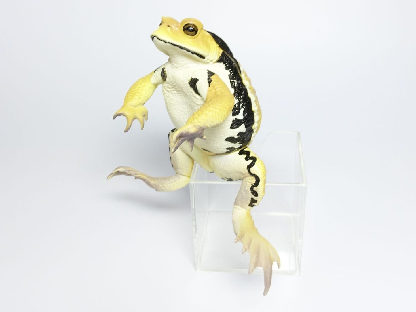 Japan Japanese common toad Frog Toad PVC Figure Model Figurine 12cm (Yellow）