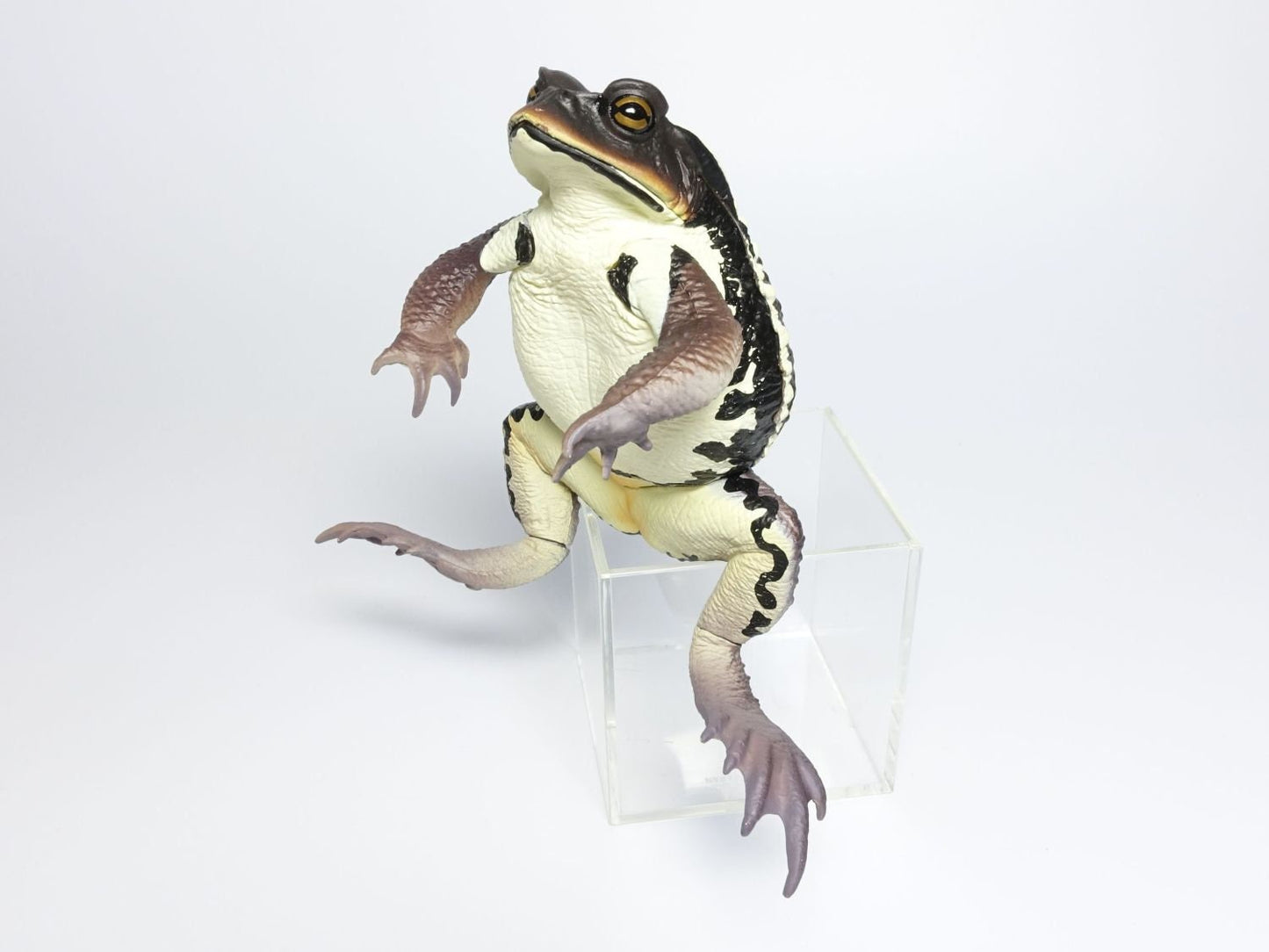 Japan Japanese common toad Frog Toad PVC Figure Model Figurine 12cm (DARK）