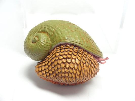 Japan Scaly-foot gastropod Conch Mini PVC Figurine Figure Model