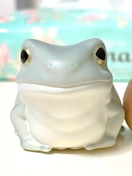 Japan Australian green tree frog PVC hollowed figure model toy B