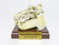 Hippo hippopotamus skull mini figurine figure model replica