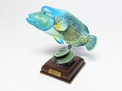 Kitan Club Humphead wrasse fish PVC mini figurine figure model with Stand 2024