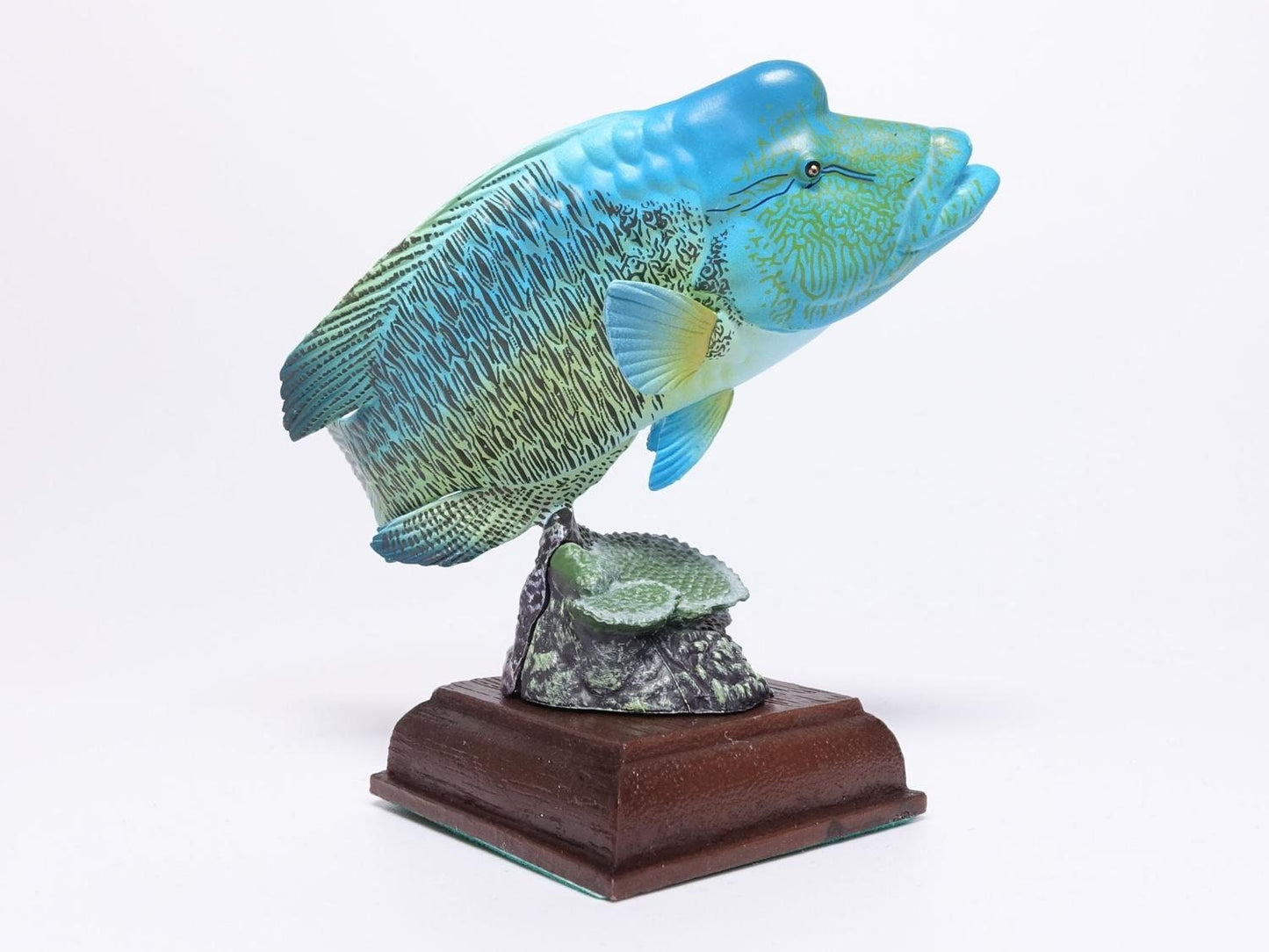 Kitan Club Humphead wrasse fish PVC mini figurine figure model with Stand 2024