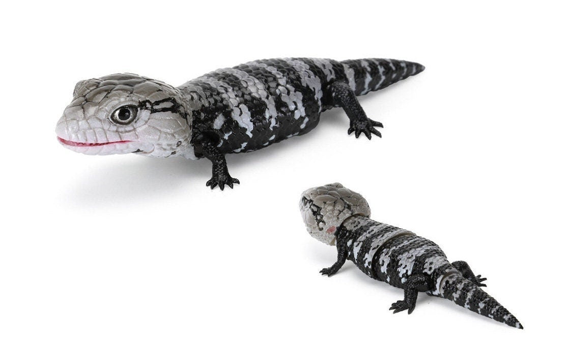 Japan Q Blue tongued skink lizard PVC Action Figure model with joints (10cm) B