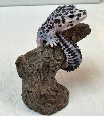 Leopard gecko Lizard Reptile figurine figure model ring with stand B