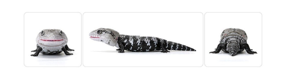 Japan Q Blue tongued skink lizard PVC Action Figure model with joints (10cm) B