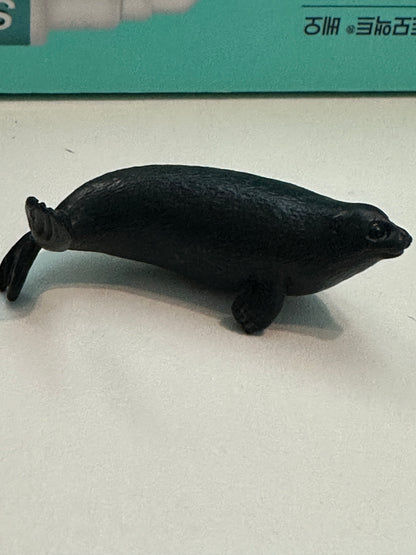 Baikal seal animal PVC mini Figure Model Figurine 5cm