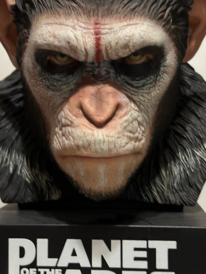 Dawn of the Planet of the Apes chimpanzee Caesar Bust PVC Statue