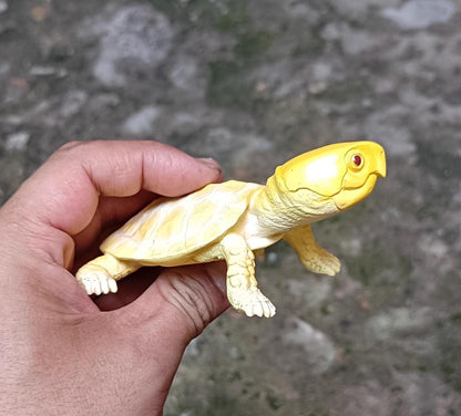 Baby Albino Big-headed Turtle Tortoise Resin replica Model Figurine Figure