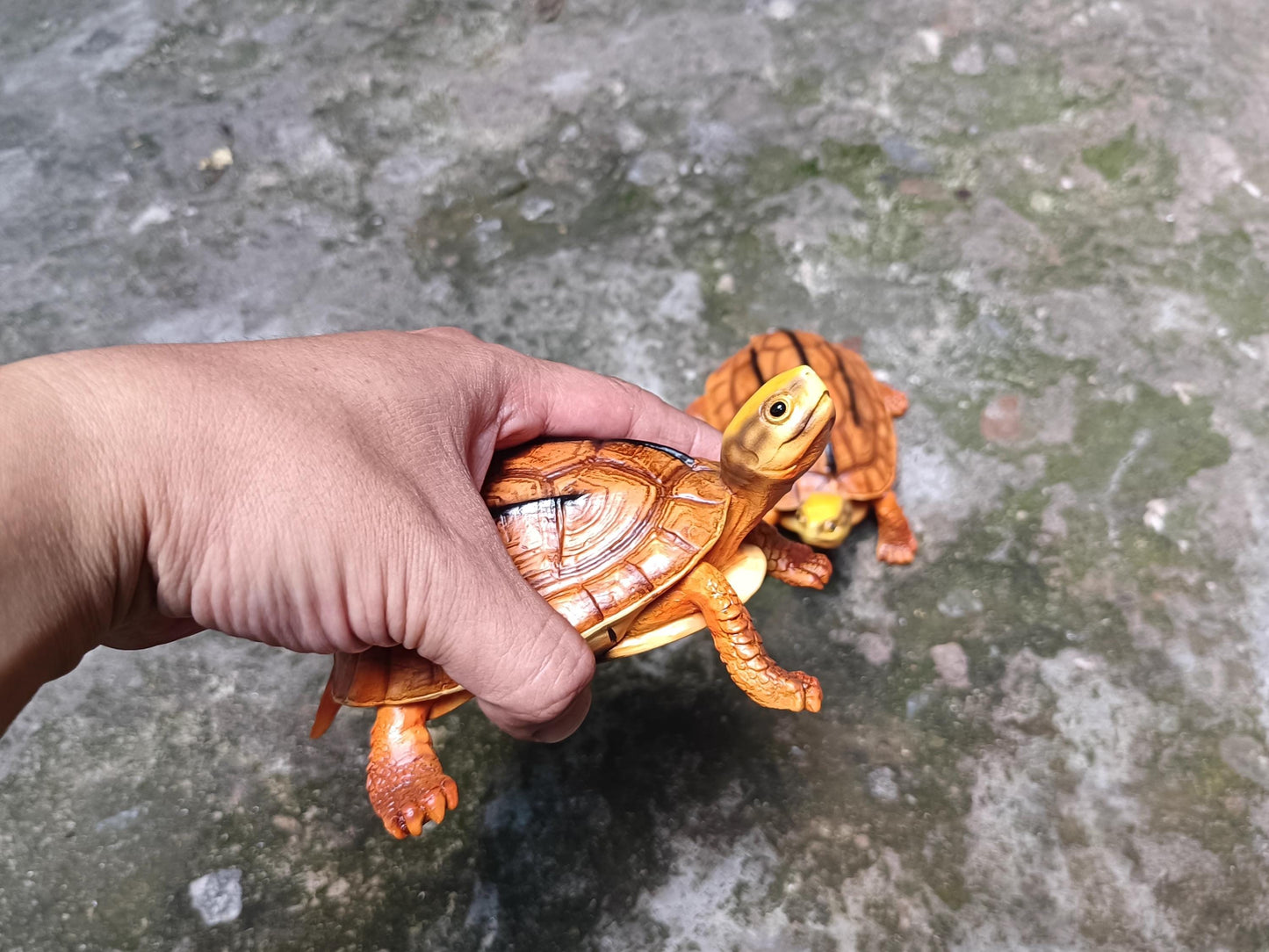 Chinese three-banded box turtle Tortoise Resin replica Model Figurine Figure