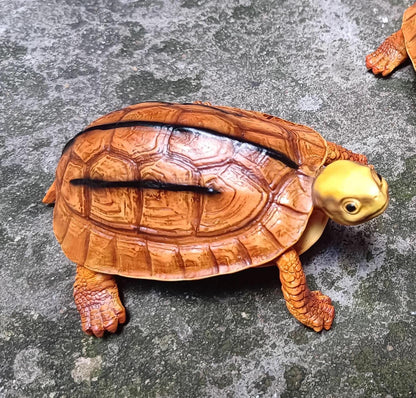 Chinese three-banded box turtle Tortoise Resin replica Model Figurine Figure