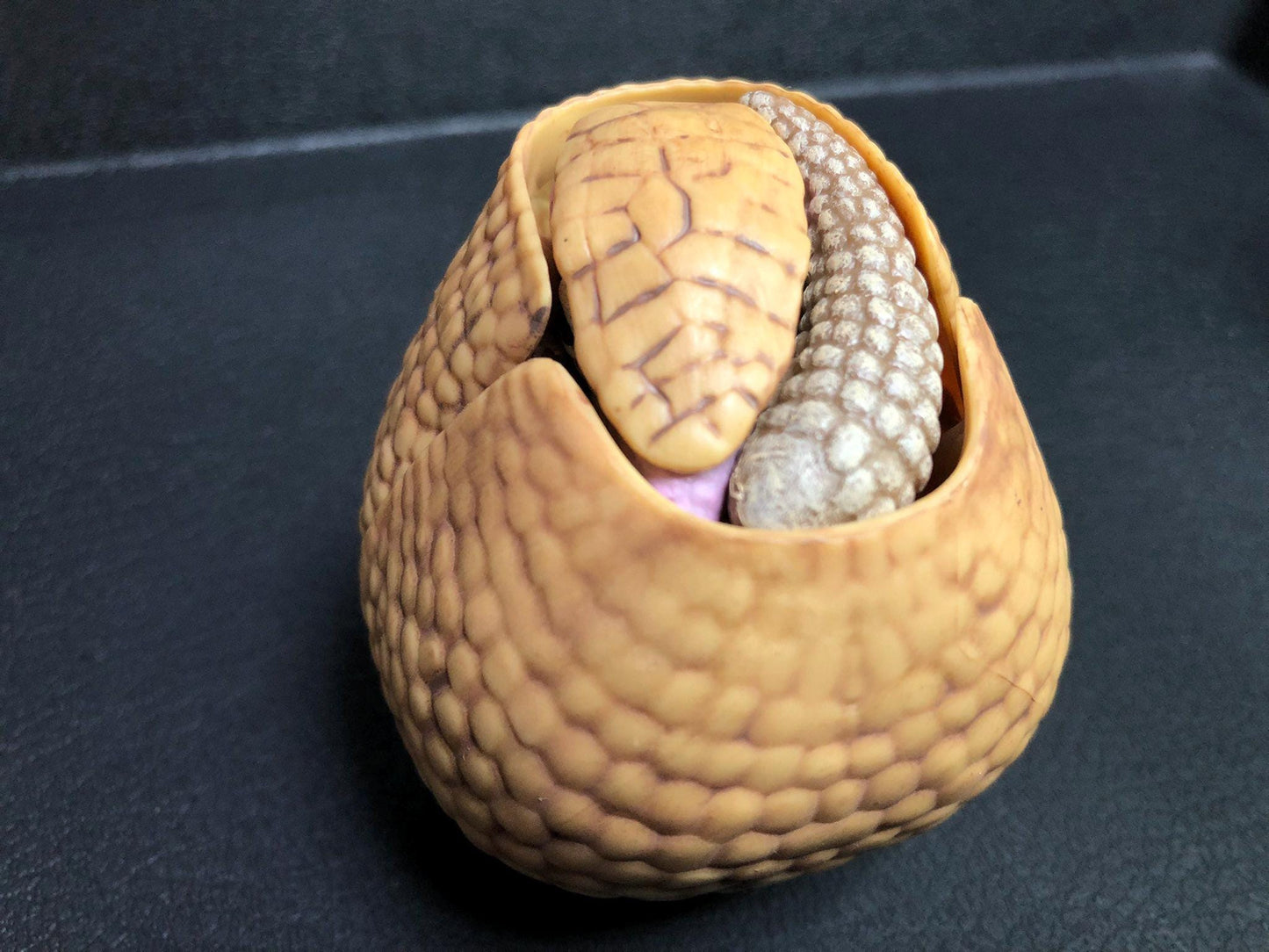 Brazilian three-banded armadillo animal PVC Action Figure Figurine Model (Delux ver.)