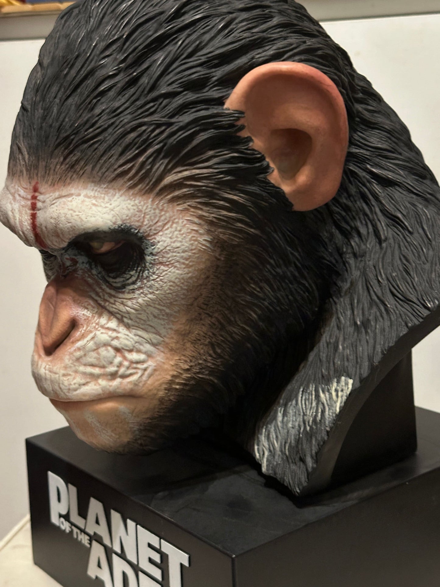 Dawn of the Planet of the Apes chimpanzee Caesar Bust PVC Statue