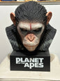 Dawn of the Planet of the Apes chimpanzee Caesar Bust PVC Statue