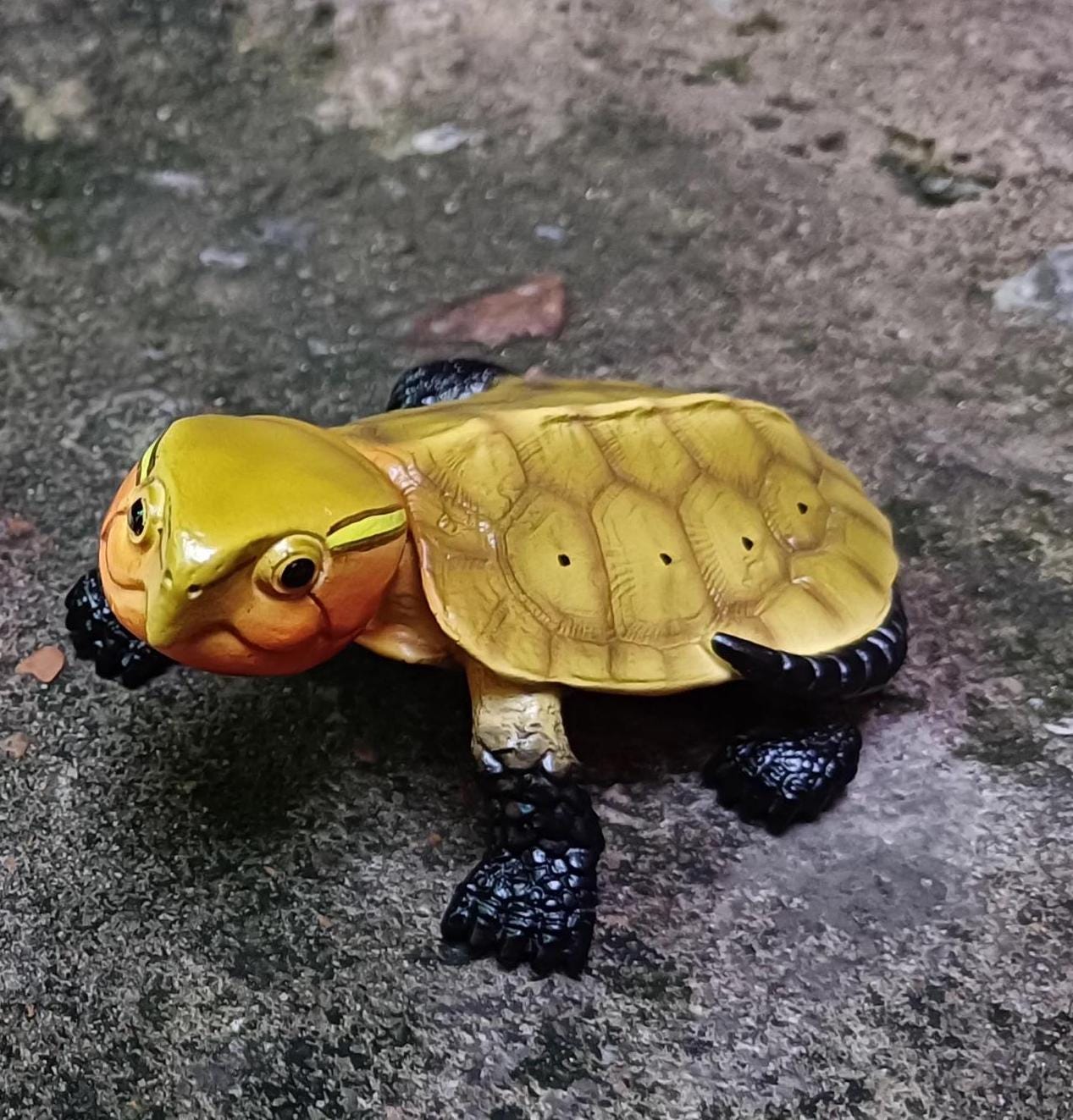 Baby Big-headed Turtle Tortoise Resin replica Model Figurine Figure