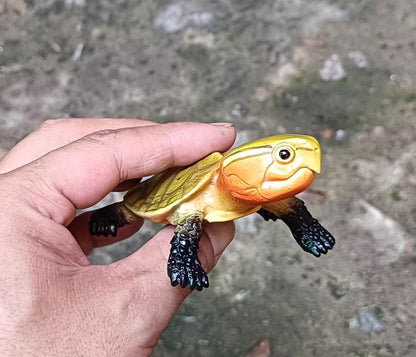 Baby Big-headed Turtle Tortoise Resin replica Model Figurine Figure