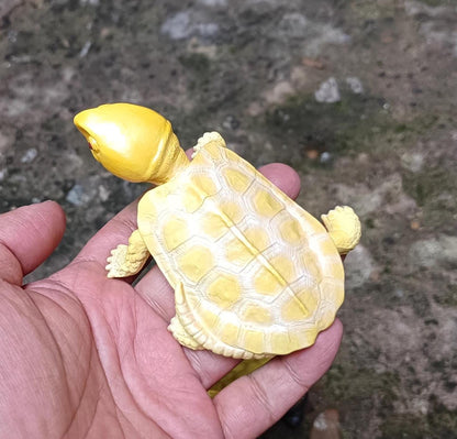 Baby Albino Big-headed Turtle Tortoise Resin replica Model Figurine Figure