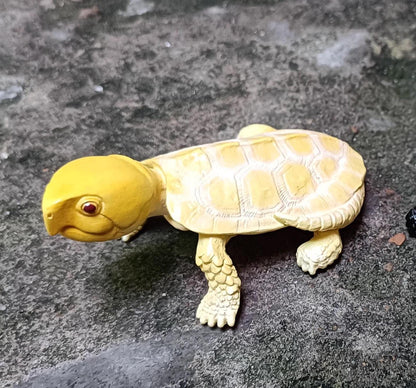 Baby Albino Big-headed Turtle Tortoise Resin replica Model Figurine Figure