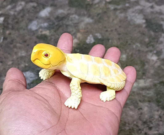 Baby Albino Big-headed Turtle Tortoise Resin replica Model Figurine Figure