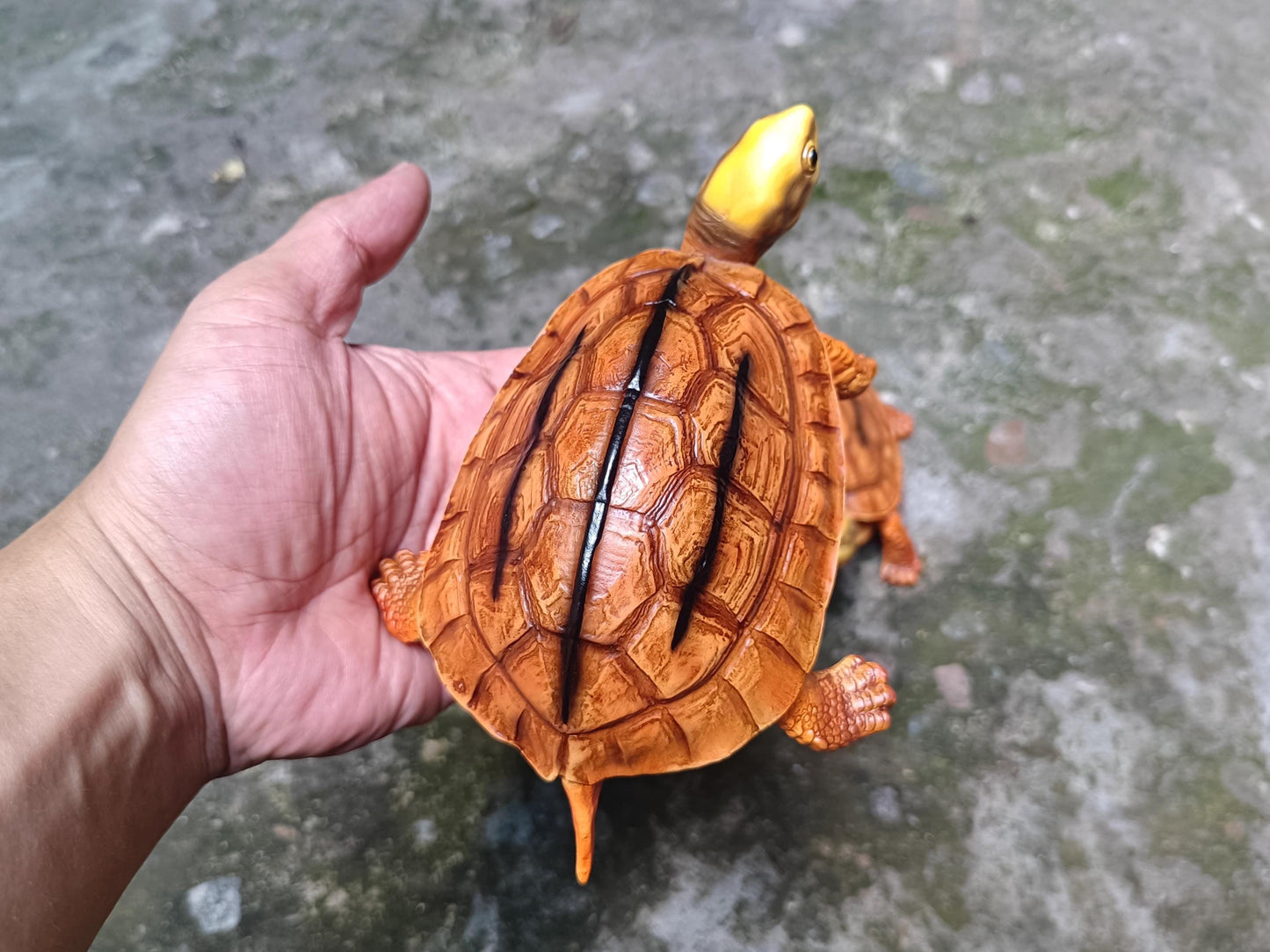 Chinese three-banded box turtle Tortoise Resin replica Model Figurine Figure