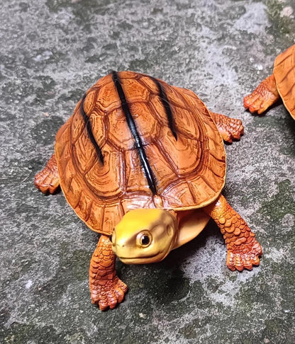 Chinese three-banded box turtle Tortoise Resin replica Model Figurine Figure