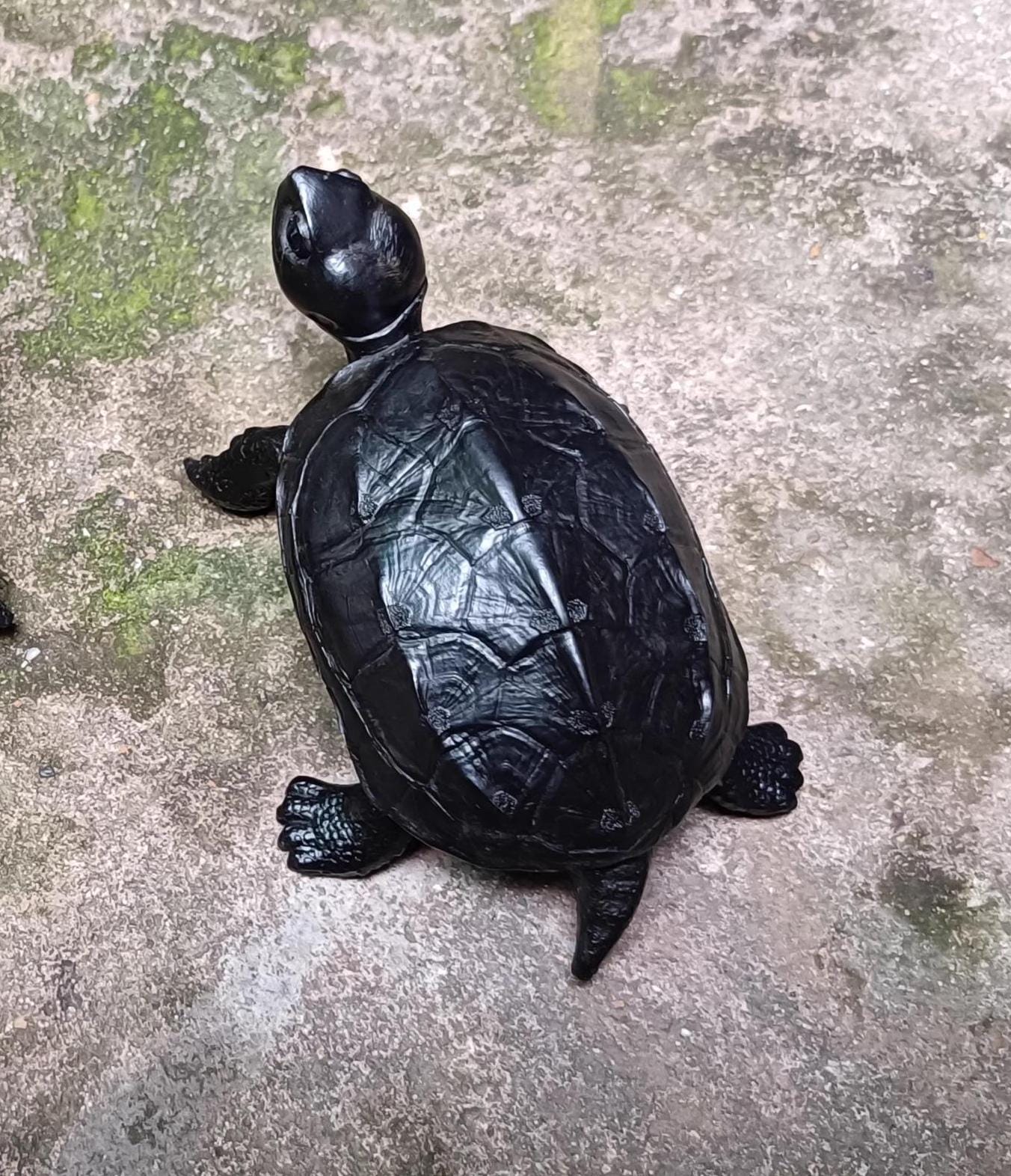 Chinese pond Turtle Tortoise Resin replica Model Figurine Figure