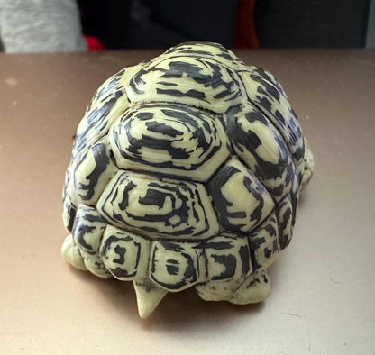 Japan Leopard Tortoise Turtle PVC hollowed figure model toy